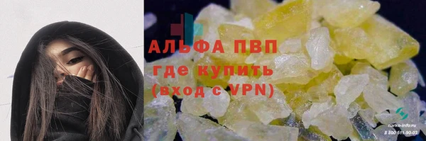 стаф Богородск