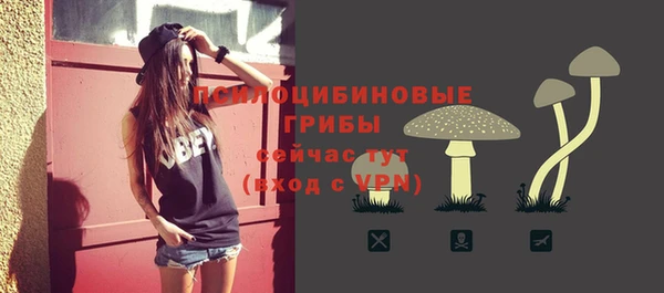прущие крисы Верея
