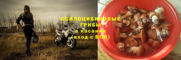 прущие крисы Верея