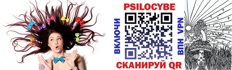 Галлюциногенные грибы Psilocybe  где можно купить   Зуевка 